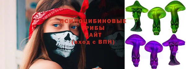 дмт Абаза
