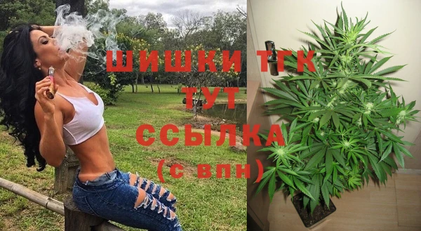 дмт Абаза