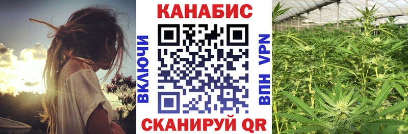 наркота  Астрахань  Конопля гибрид 